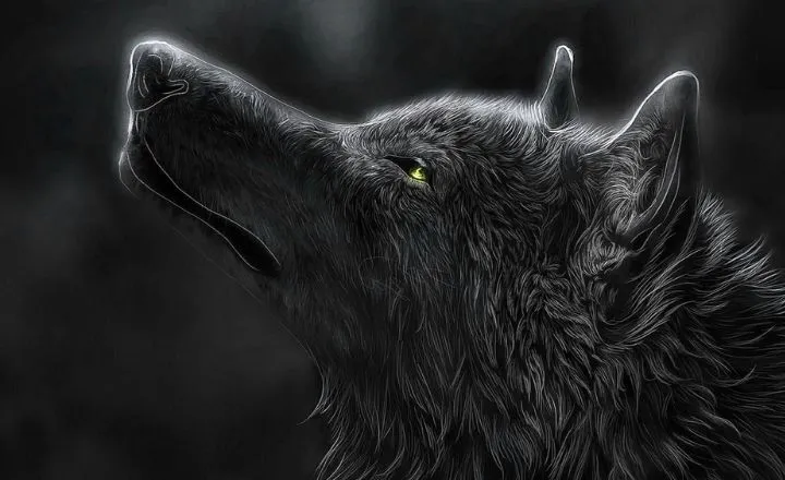 Black Wolf Names